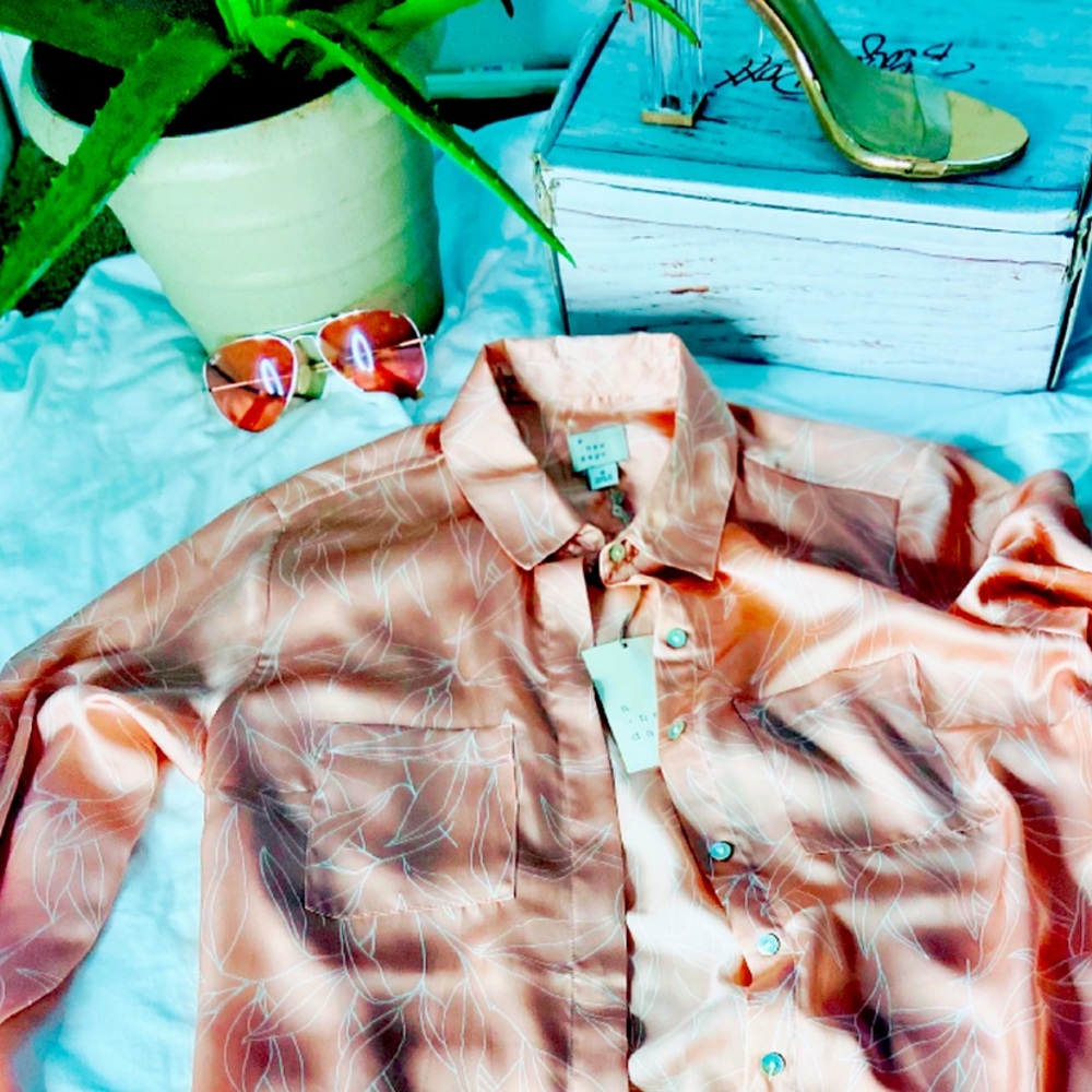 Light Pink Button Up Blouse